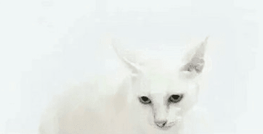 1-140921111G01X.png