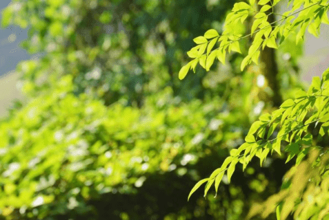 1-140921111G01X.png