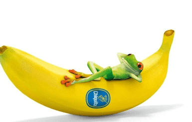 ͼƬ.png