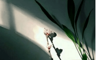 ͼƬ.png