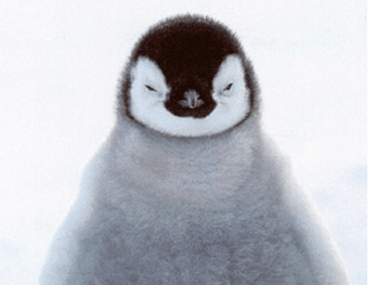ͼƬ.png