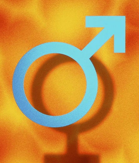 ͼƬ.png