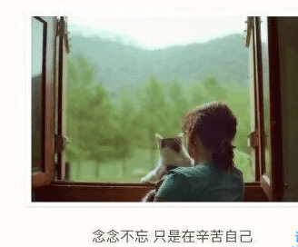 ͼƬ.png