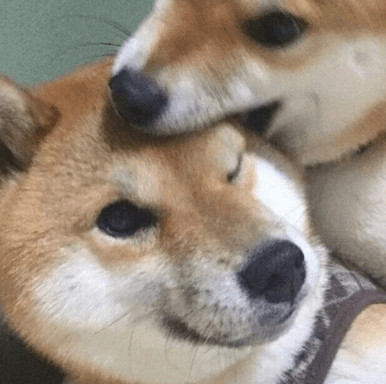 ͼƬ.png