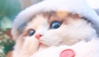 ͼƬ.png