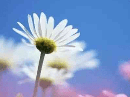 ͼƬ.png