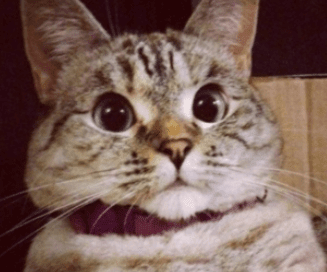 ͼƬ.png