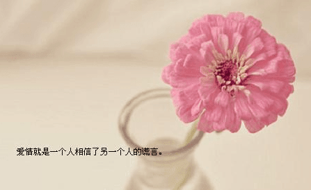 ͼƬ.png