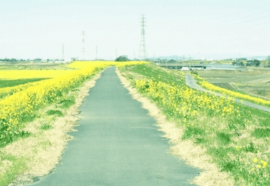 1526884599415976.png 图片.png