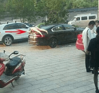 1527061954755917.png 图片.png