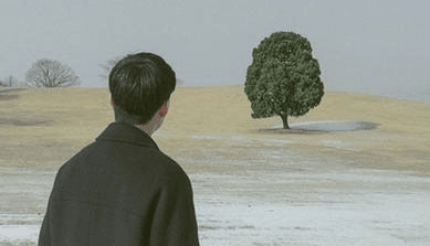 ͼƬ.png