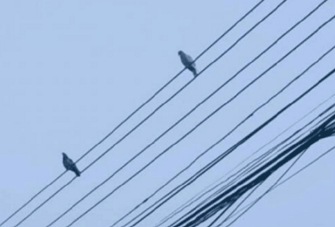 ͼƬ.png