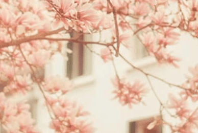 1528788820819706.png 图片.png