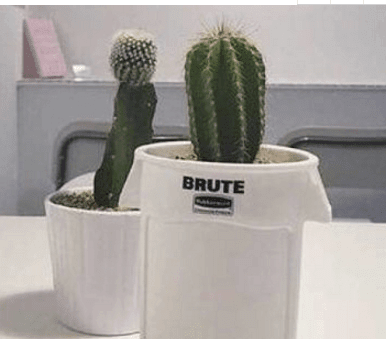 ͼƬ.png