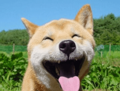 ͼƬ.png