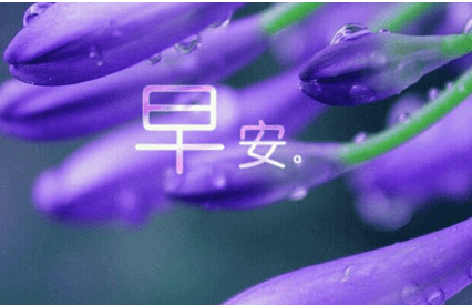 ͼƬ.png