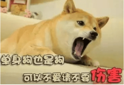 ͼƬ.png