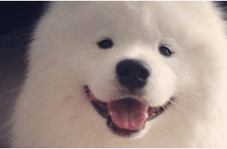 ͼƬ.png
