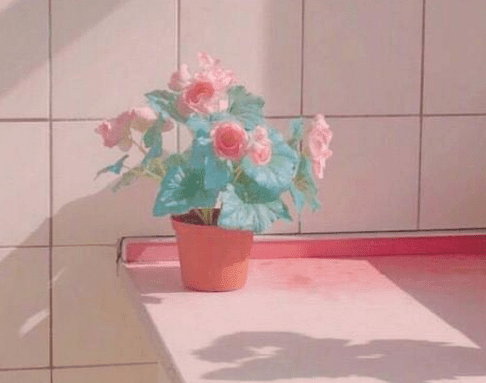 ͼƬ.png