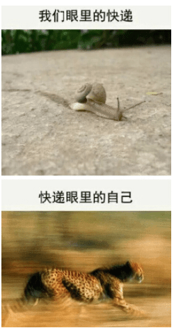 ͼƬ.png