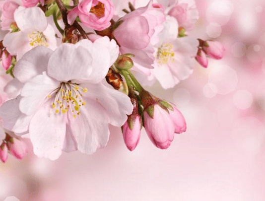 1533634252882584.png 图片.png