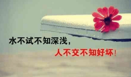 ͼƬ.png