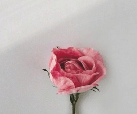 ͼƬ.png