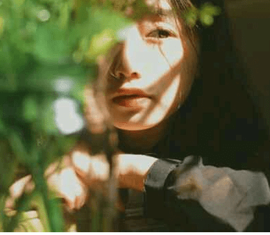ͼƬ.png
