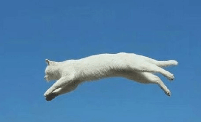 ͼƬ.png