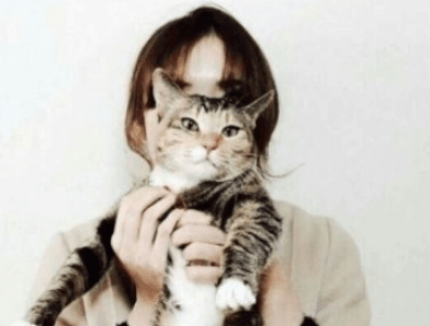 ͼƬ.png