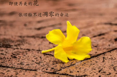 ͼƬ.png