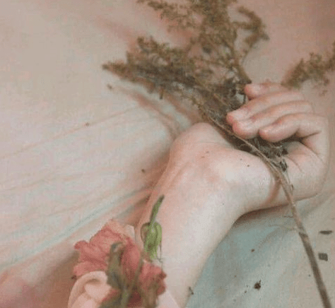 ͼƬ.png