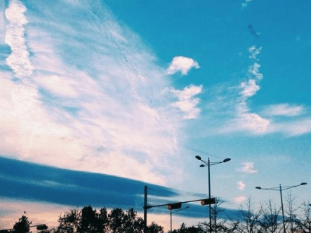 ͼƬ.png