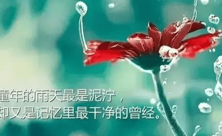 ͼƬ.png