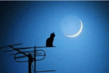 ͼƬ.png