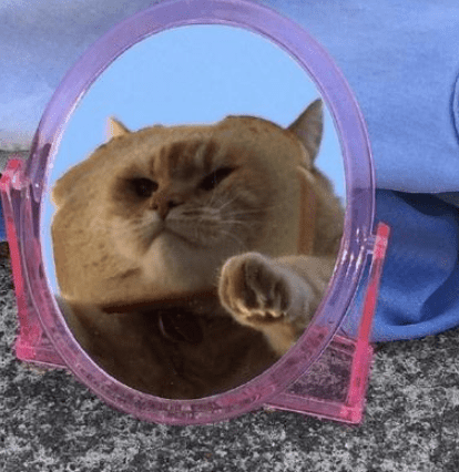 ͼƬ.png