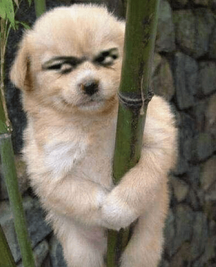 ͼƬ.png