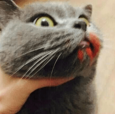 ͼƬ.png