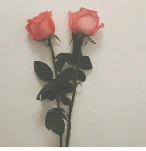ͼƬ.png