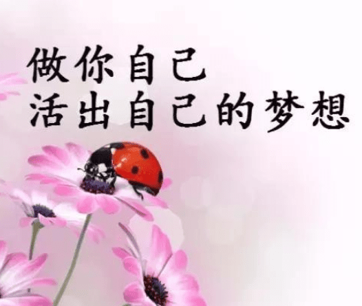 ͼƬ.png
