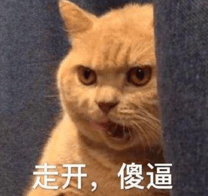 ͼƬ.png