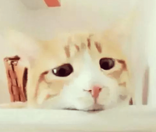 ͼƬ.png