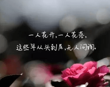 ͼƬ.png