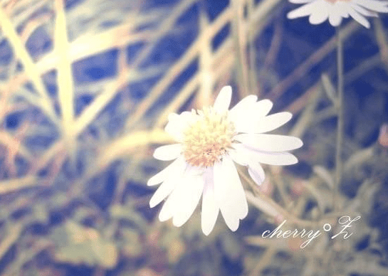 ͼƬ.png