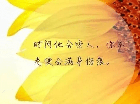 ͼƬ.png