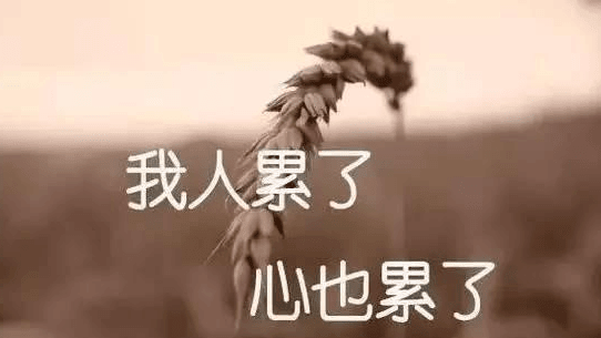 ͼƬ.png