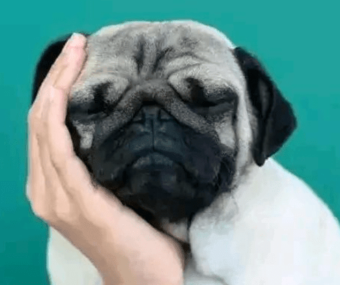 ͼƬ.png