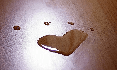 blob.png