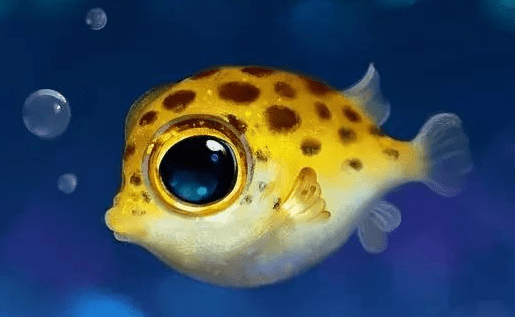 blob.png