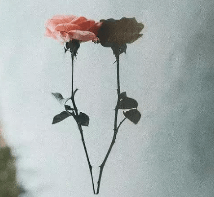 ͼƬ.png